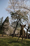 Hotel Mimatsu