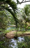 Frenchman's Cove Resort