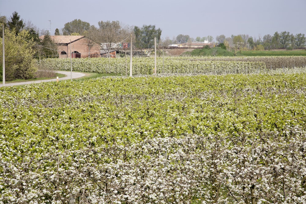 Agriturismo Dosso al Porto