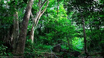 Forest West Nishi