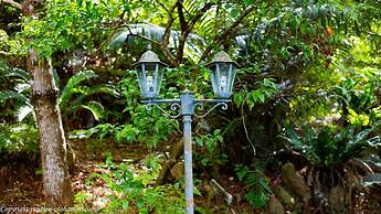 Forest West Nishi