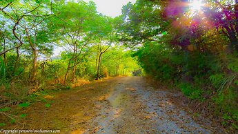 Forest West Nishi
