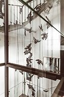 Hotel Milu Florence