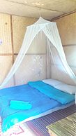 Nusha Homestay