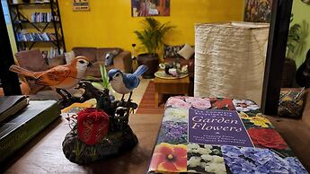 Yambi Guesthouse