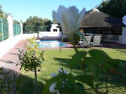 Olive Grove Guest Farm