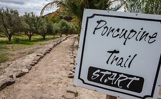 Olive Grove Guest Farm