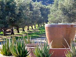 Olive Grove Guest Farm