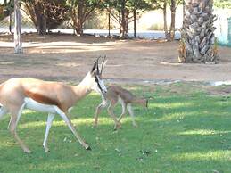 Oasis Country Lodge