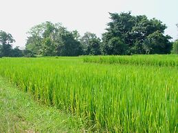 Good Morning Pai