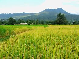 Good Morning Pai