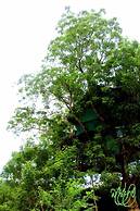Beddegama Eco