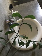 Hanthana House