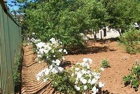 Aligeo Guest House