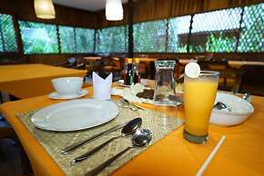 Rimba Orangutan Eco Lodge