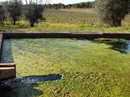 Quinta das Ratoeiras