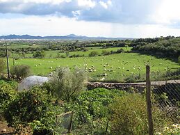 Finca Sa Cova Vella