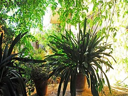 Finca Sa Cova Vella