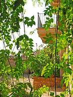Finca Sa Cova Vella