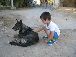 Finca Sa Cova Vella