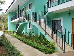 Green Forest of Coco Beach Studios