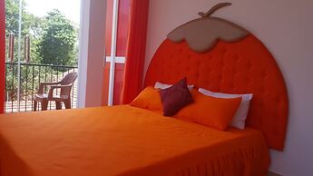 Thambili Island at Stubbs - Hostel