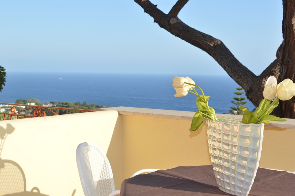 Hotel Polito