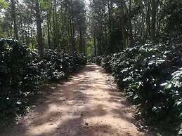 Hotel Shwe Nann Htike