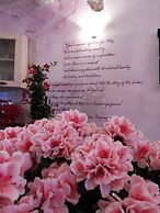 Azalea & Glicine House
