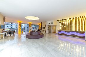 Alenz Suite