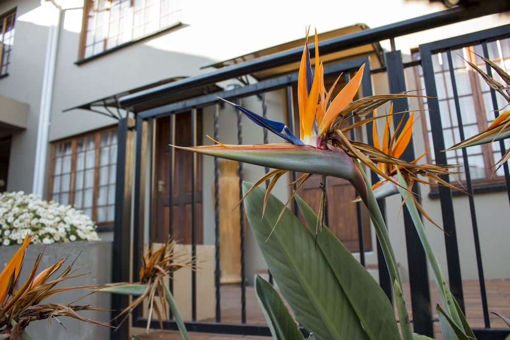 Ruth Avenue Guest House