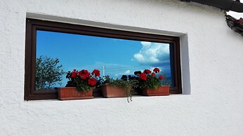 Dal Rosso