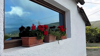 Dal Rosso