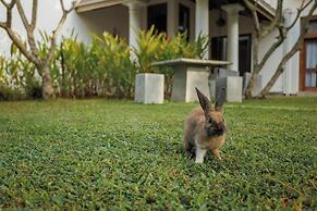 Villa White Queen Resort & Spa
