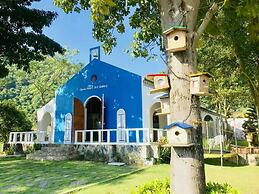 Ville De La Vie