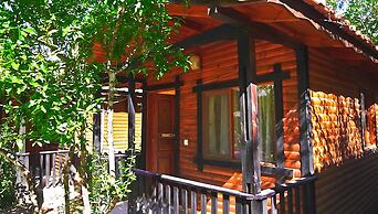 Koala Bungalows