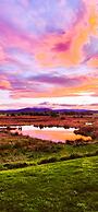 Pelican Point Tasmania