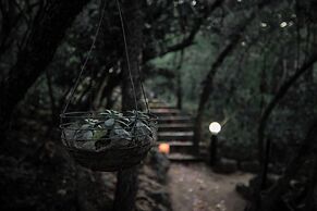 Thulamela Bed and Breakfast