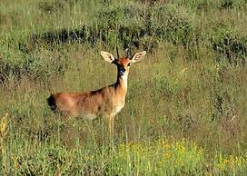 Karoo Gariep Tented Camp