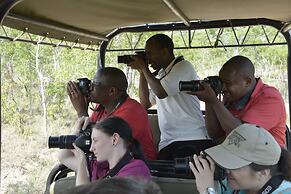 Bushman Rock Safaris