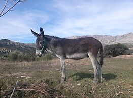 Cortijo El Llano
