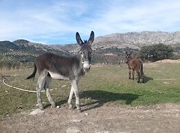 Cortijo El Llano
