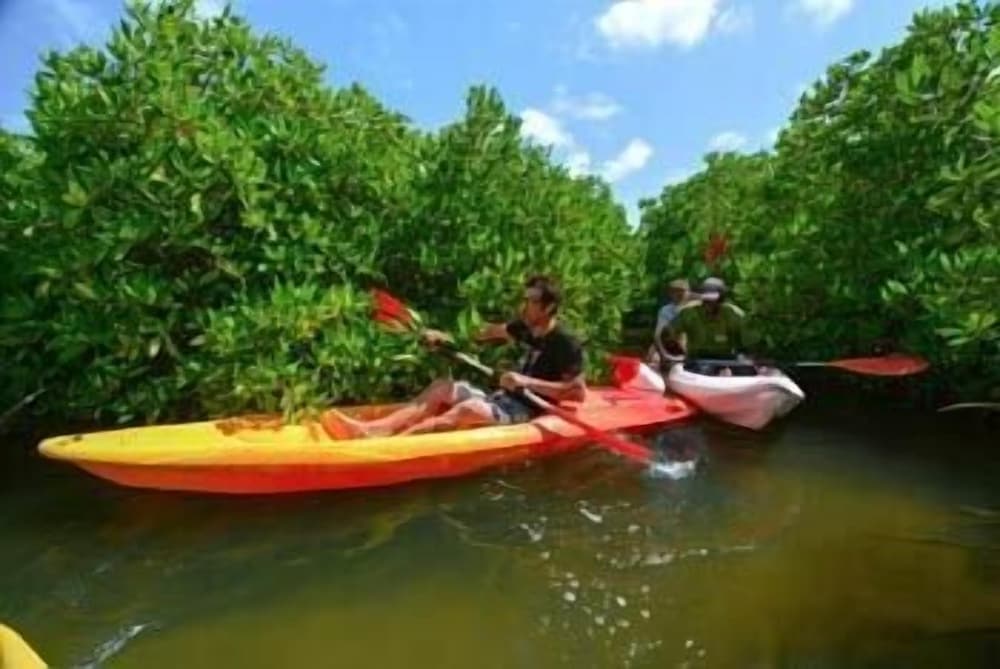 L'Ecolodge de Simal