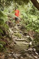 The Fernery Lodge and Spa