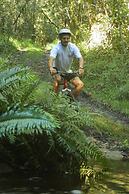 The Fernery Lodge and Spa