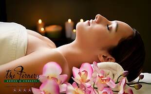 The Fernery Lodge and Spa