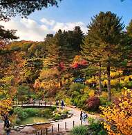 Elysian Gangchon Resort