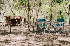 Green Nest Resort