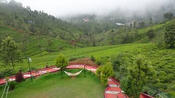 Green Nest Resort