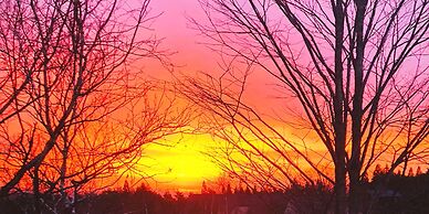 Life is Beautiful